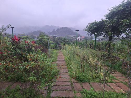 a stone path in a garden with flowers and trees at Undertree life villa in Hòa Bình