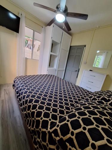 a bedroom with a bed and a ceiling fan at Ackee Green Rental - 2 bedroom 1 bathroom in Gros Islet