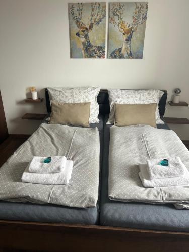two beds sitting next to each other with towels on them at JEZ&SPI Plánice in Plánice