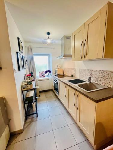 une cuisine avec un évier et un plan de travail dans l'établissement Magnifique maison de ville, à Morestel