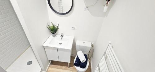 une salle de bain blanche avec un lavabo et un miroir dans l'établissement Le Chavanelle!, à Saint-Étienne