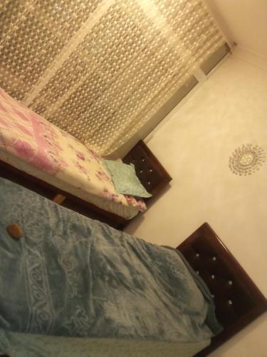 ein Schlafzimmer mit einem Bett und einem Fenster mit einem Vorhang in der Unterkunft Appartement pré du stade olympique belgaid in Canastel