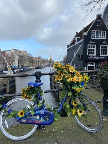 a bike with flowers on it parked next to a river at Traumblick Nr 3 aufs Wattenmeer Blick bis nach Texel in Westerland