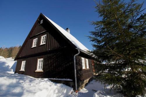 una casa nella neve con un albero davanti di Ferienhaus Anno Dazumal wie zu Opa`s Zeiten a Klingenthal