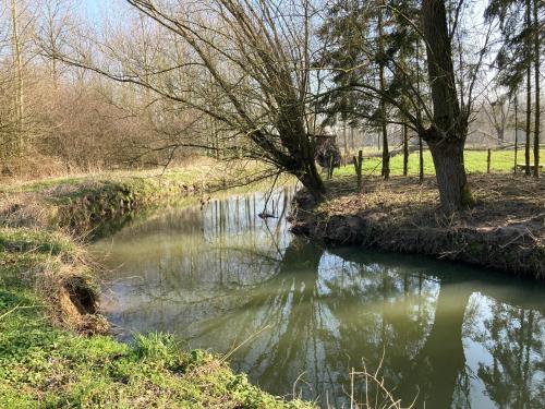 a river in a field with trees and grass at B&B Hof Ter Haegen in Vollezele