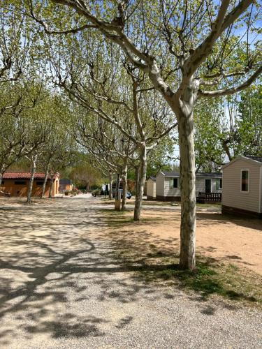 a row of trees in a yard with houses at Camping Bungalow el Llac de Banyoles in Porqueres