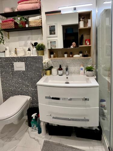 une salle de bain avec un lavabo blanc et des toilettes dans l'établissement Lovely flat near Paris, à Asnières-sur-Seine
