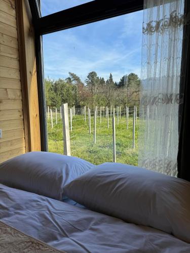 a bedroom with a window with a view of a field at Orion Cottage in Batumi
