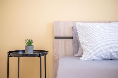 una mesa con una planta junto a una cama en Araucaria Apartments, en Tsilivi
