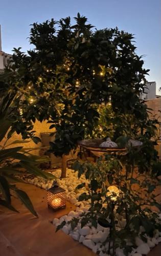 a garden with a tree with lights on it at Albiretes in Albir