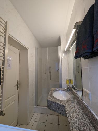 a bathroom with a sink and a shower at Haus Am Waldesrand in Herzberg am Harz