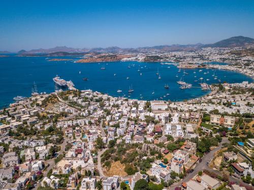 Φυσικό τοπίο κοντά σε αυτό το ξενοδοχείο διαμερισμάτων
