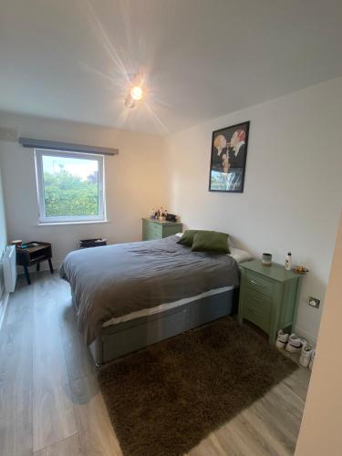 Un dormitorio con una cama grande y una ventana en Modern Dublin Apartment, en Dublín