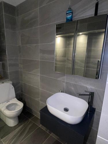 y baño con lavabo y aseo. en Modern Dublin Apartment, en Dublín