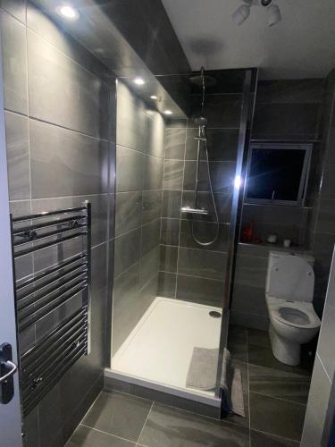 y baño con ducha y aseo. en Modern Dublin Apartment, en Dublín