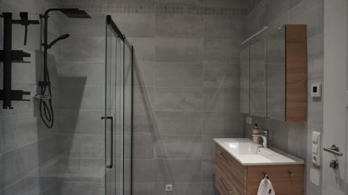 uma casa de banho com um chuveiro e um lavatório. em Apartment Am Weißenberg 2 em Neuhofen an der Krems