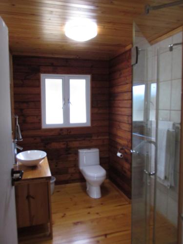 Un baño con inodoro, lavabo y ventana. en Trust Knysna Forest Farm Lodge, en Knysna