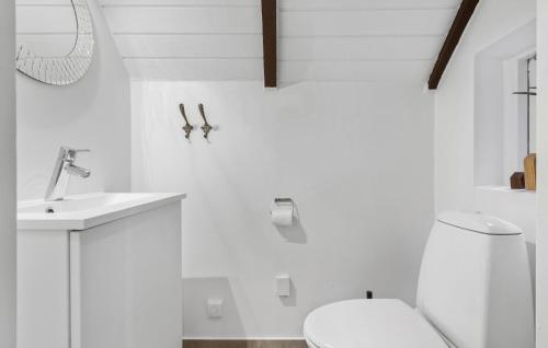 uma casa de banho branca com um WC e um lavatório em Lovely Home In Hvide Sande With Wifi em Havrvig