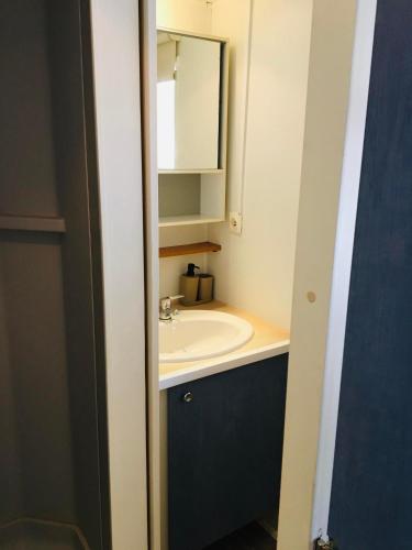 une salle de bain avec un lavabo et un miroir dans l'établissement Mobil-home avec grand jardin, à Sérignan