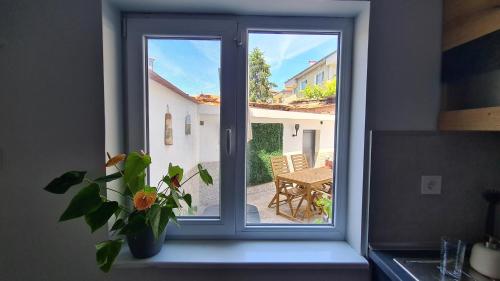 Апартамент Уют في Razgrad: نافذة مع زرع خزاف على حافة النافذة
