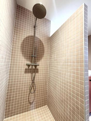 une douche avec pommeau de douche dans une salle de bain dans l'établissement Magnifique studio + balcon au cœur d'Aix, à Aix-en-Provence
