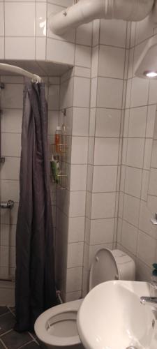 een badkamer met een toilet en een wastafel bij Agi in Oslo