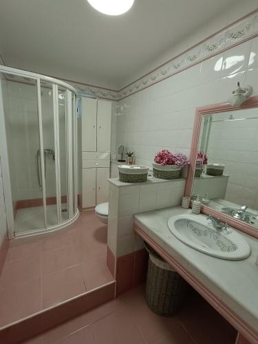a bathroom with a sink and a shower and a toilet at LAR DA REVOLTA in Cedeira