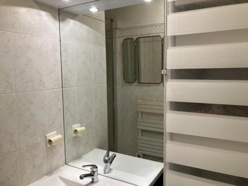 une salle de bain avec un lavabo et un miroir dans l'établissement Elégant appartement sur jardin à Boulogne, à Boulogne-Billancourt