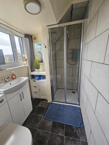 a bathroom with a shower and a toilet and a sink at Riverside Cottage City Centre in Inverness