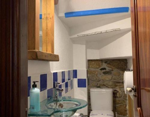 y baño con lavabo de cristal y aseo. en Casa Rural La Vertedera 3, en Villar de Ciervo