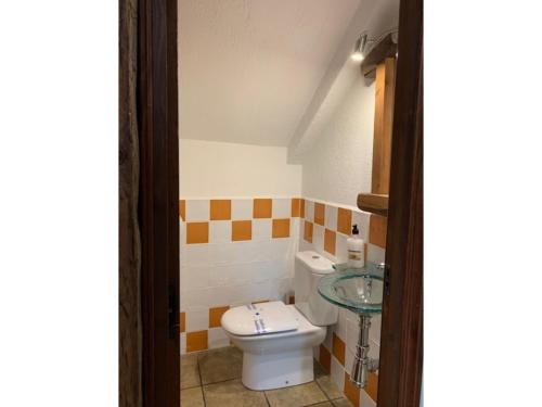 a bathroom with a toilet and a glass sink at Casa Rural la Vertedera 2 in Villar de Ciervo