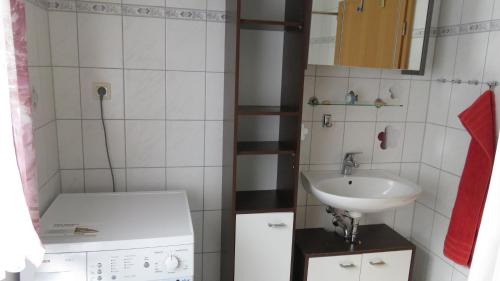 a small bathroom with a sink and a mirror at Hof Gerbert in Halenbeck