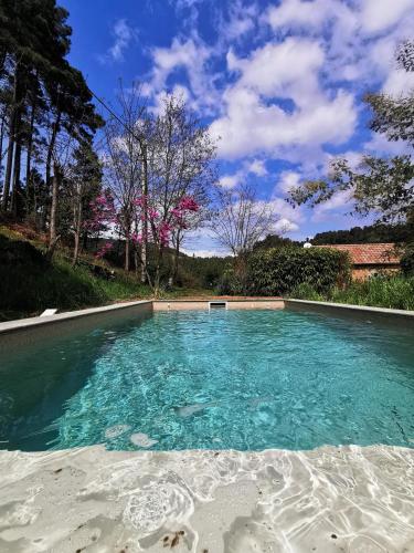 une grande piscine avec de l'eau bleue et des arbres dans l'établissement Les IRIS des Rieux, à Sallelles