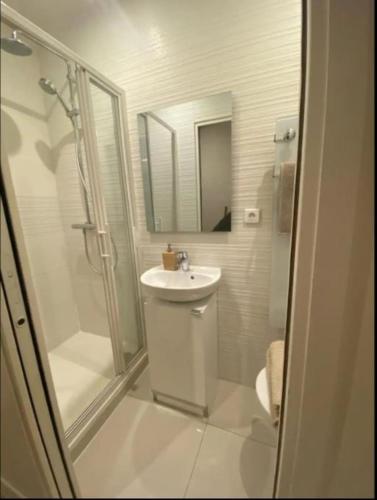 uma casa de banho branca com um lavatório e um chuveiro em Studio cosy refait à neuf em Le Raincy
