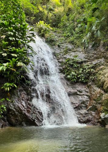Un paisaje natural cerca de la villa