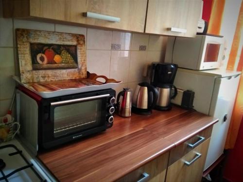 - un four micro-ondes sur un comptoir en bois dans la cuisine dans l'établissement Calm&Sweet Budapest Apartment, à Budapest