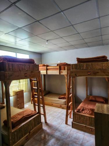 a room with four bunk beds in it at Seven Nine Hostel - Calm place to sleep in Baan Tai