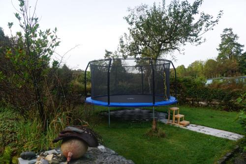 Jardin de l'établissement Ballyroe Accommodation