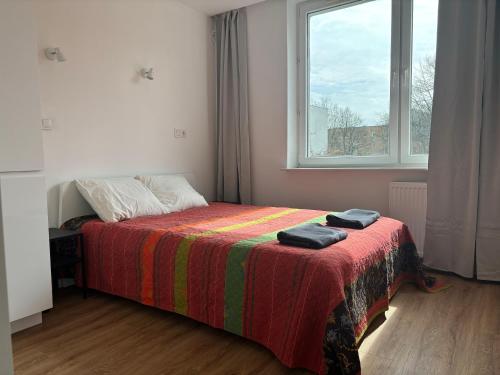 a bedroom with a bed with a colorful blanket and a window at Olo Apartment in Warsaw