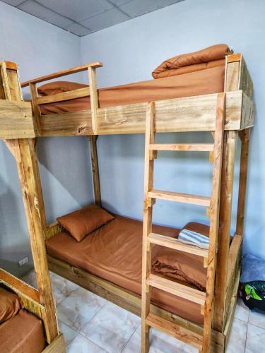 a couple of bunk beds in a room at Seven Nine Hostel - Calm place to sleep in Baan Tai