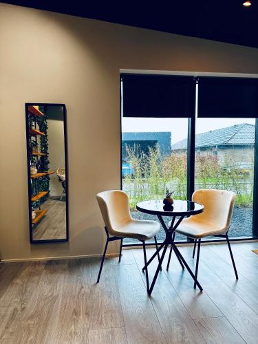 een eetkamer met 2 stoelen, een tafel en een spiegel bij Gæstehuset Ro in Fredericia
