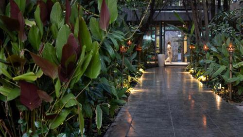 a walkway in a greenhouse with plants and lights at Anjali by Syphon in Siem Reap