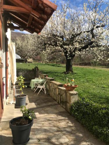 a patio with a table and a tree in a field at Le petit gîte in Saint-Étienne-le-Laus