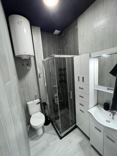 W łazience znajduje się prysznic, toaleta i umywalka. w obiekcie Diamond Hostel w mieście Divčibare