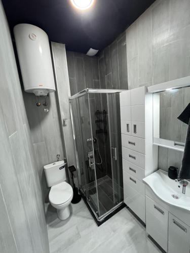 Koupelna v ubytování Diamond Hostel