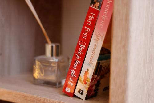 two books sitting on a shelf next to a candle at Apartman Andrea in Lukavica