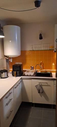 uma cozinha com um lavatório e um fogão forno superior em apparemment T1 em Tarbes
