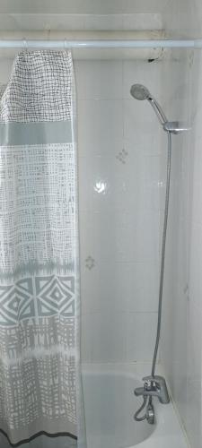 eine Dusche mit Duschvorhang im Bad in der Unterkunft apparemment T1 in Tarbes
