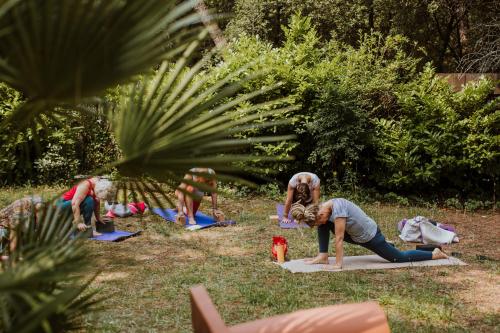 a group of people doing yoga in the grass at Le Bois Saint Martin in Saint-Martin-de-Ré