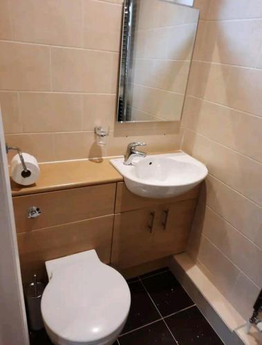 ein kleines Bad mit WC und Waschbecken in der Unterkunft Double Room with ensuite close to silverstone in Whittlebury